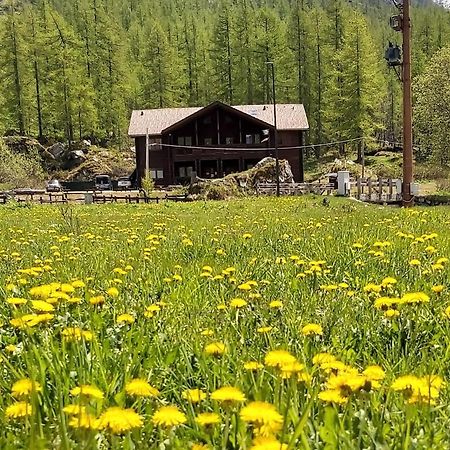 Chalet Rosa Dei Monti Piamprato Exteriér fotografie