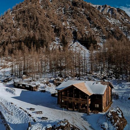 Chalet Rosa Dei Monti Piamprato Exteriér fotografie