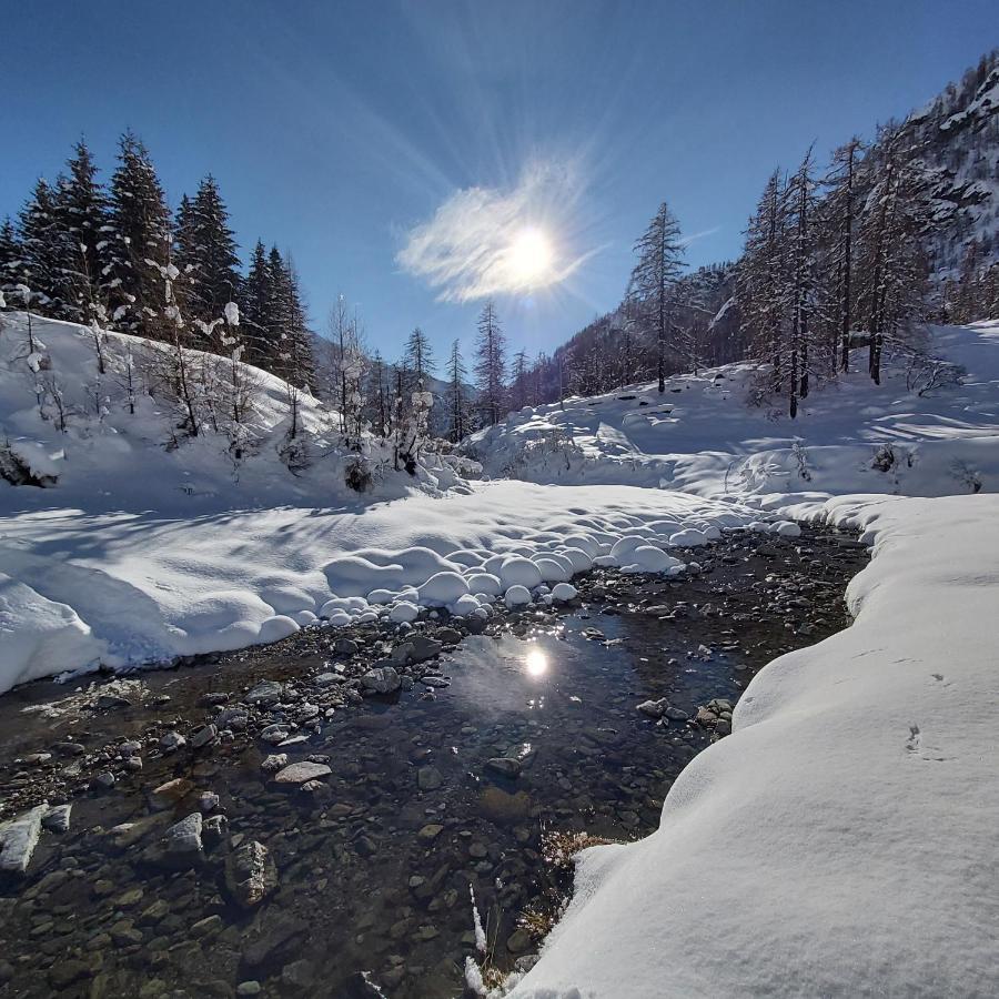 Chalet Rosa Dei Monti Piamprato Exteriér fotografie