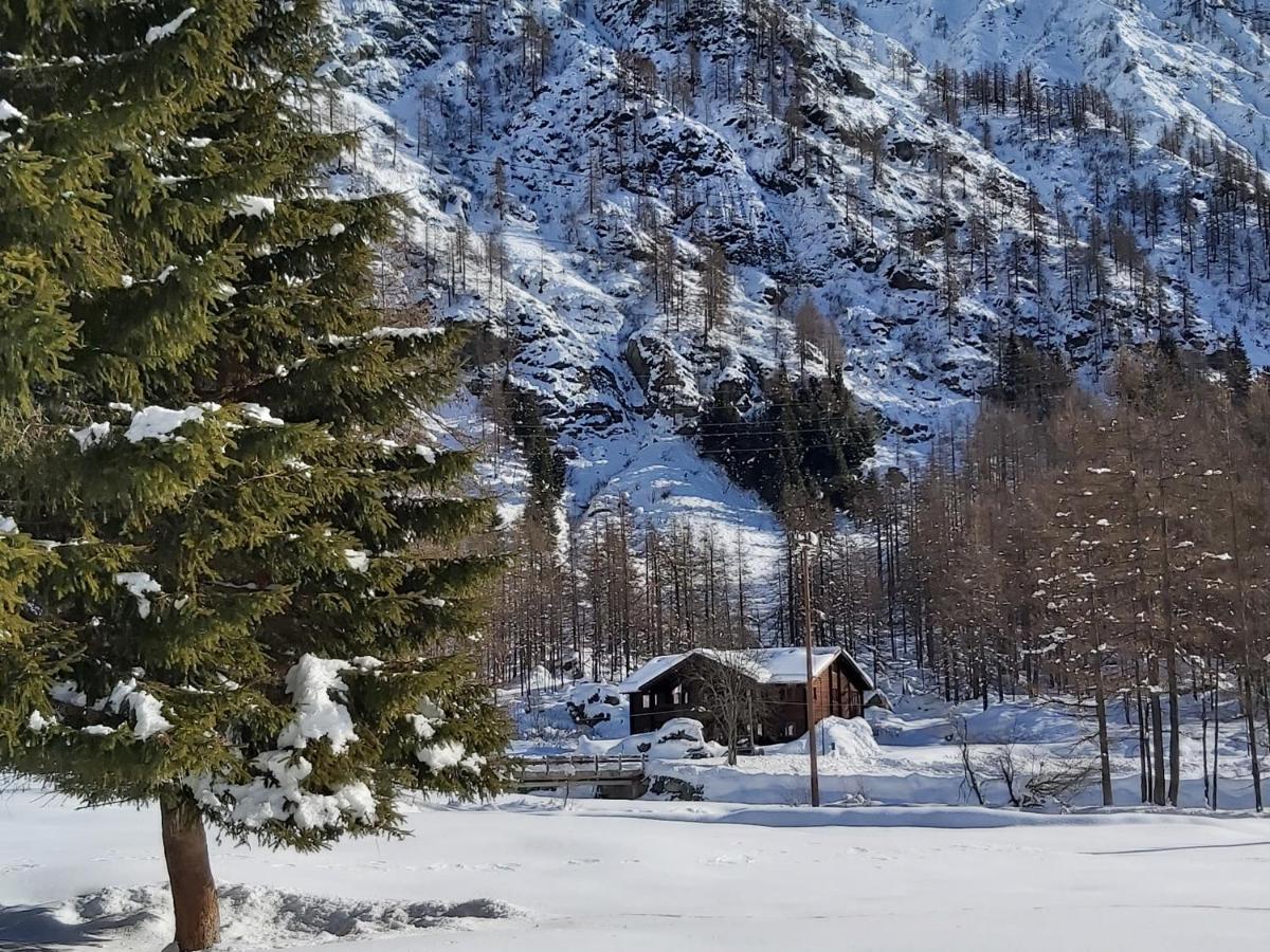 Chalet Rosa Dei Monti Piamprato Exteriér fotografie