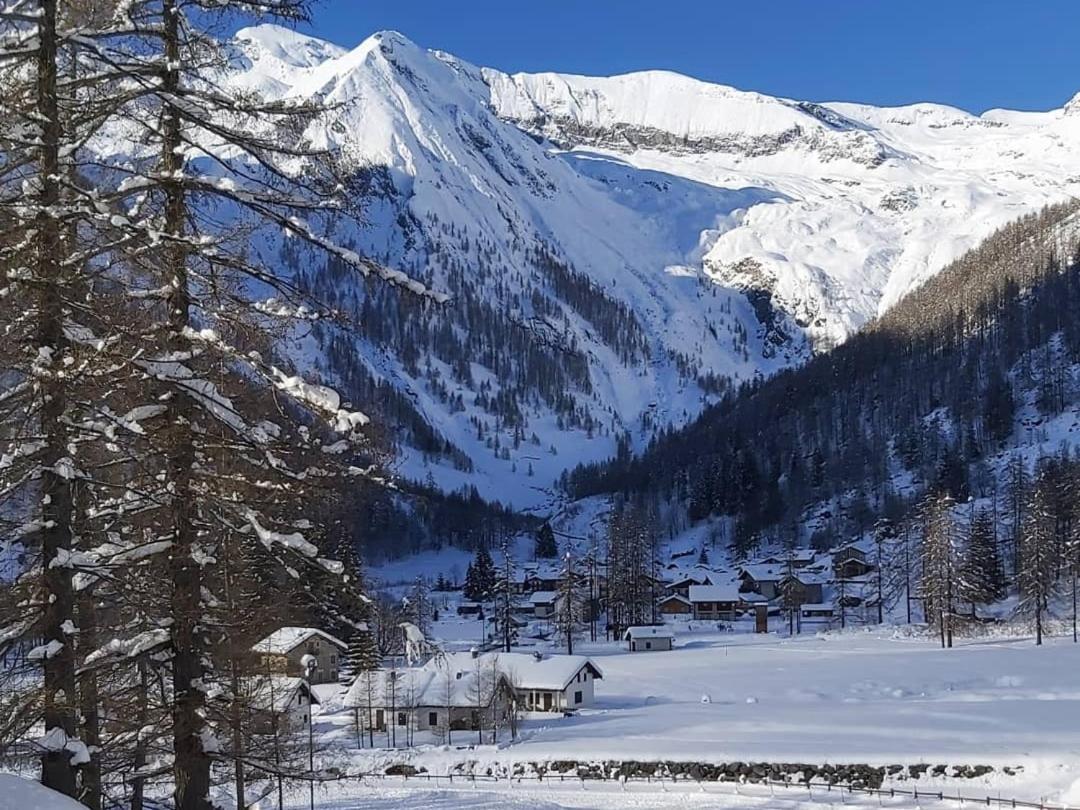 Chalet Rosa Dei Monti Piamprato Exteriér fotografie
