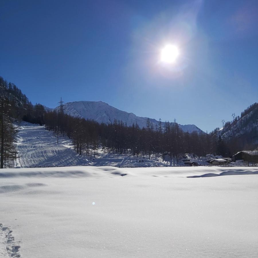 Chalet Rosa Dei Monti Piamprato Exteriér fotografie