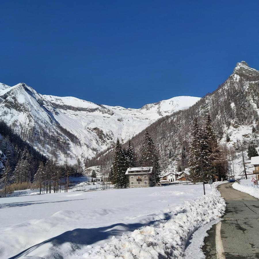 Chalet Rosa Dei Monti Piamprato Exteriér fotografie