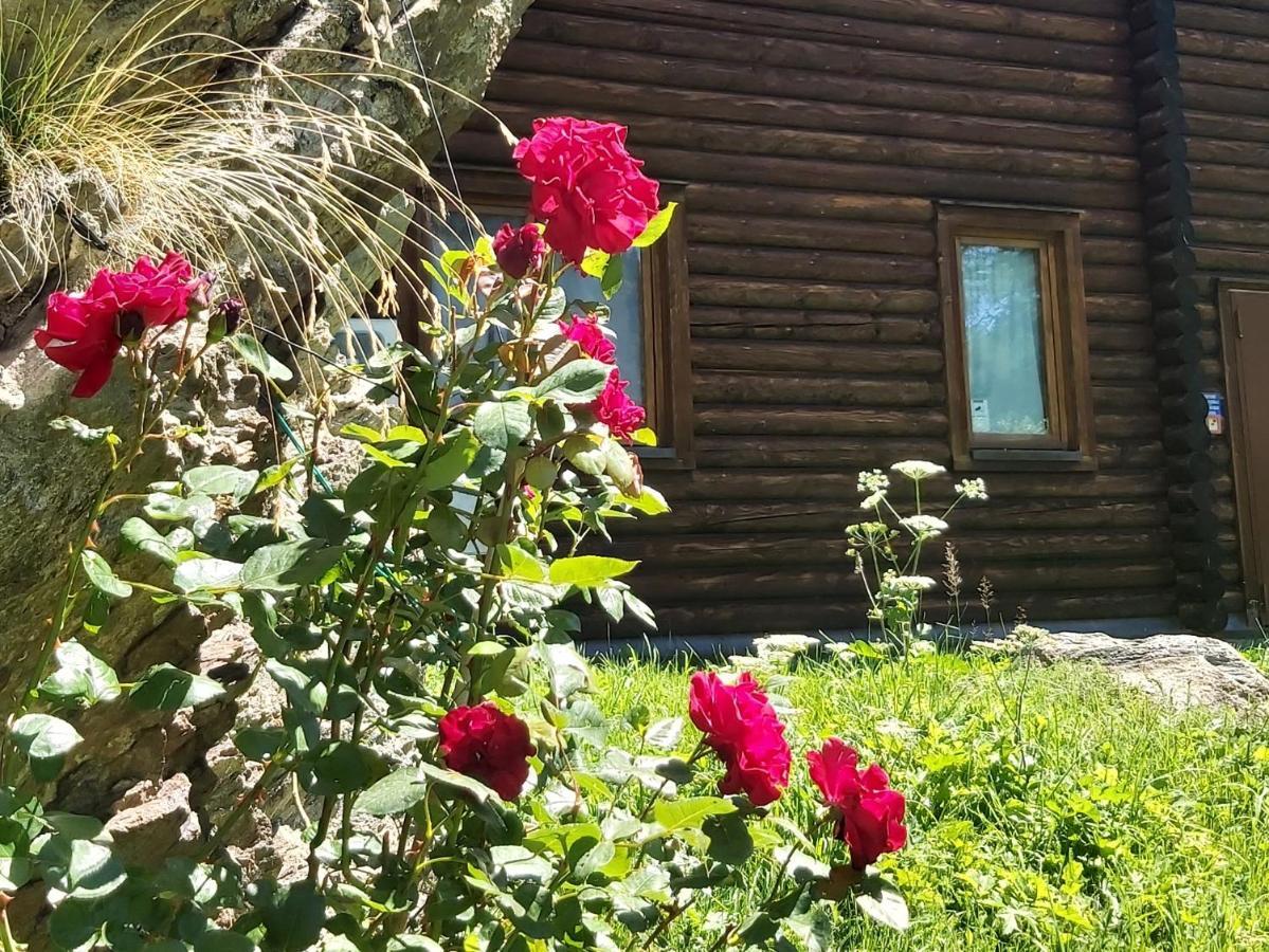 Chalet Rosa Dei Monti Piamprato Exteriér fotografie