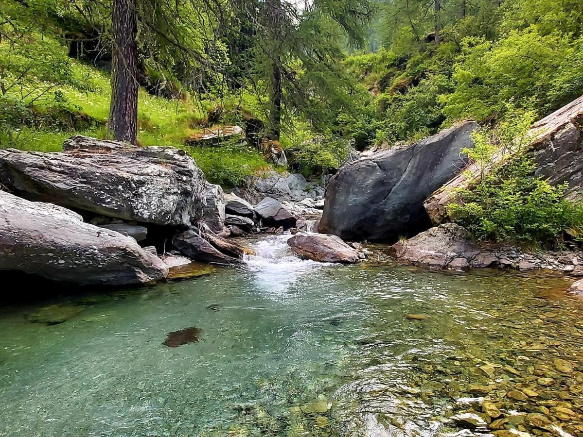 Chalet Rosa Dei Monti Piamprato Exteriér fotografie