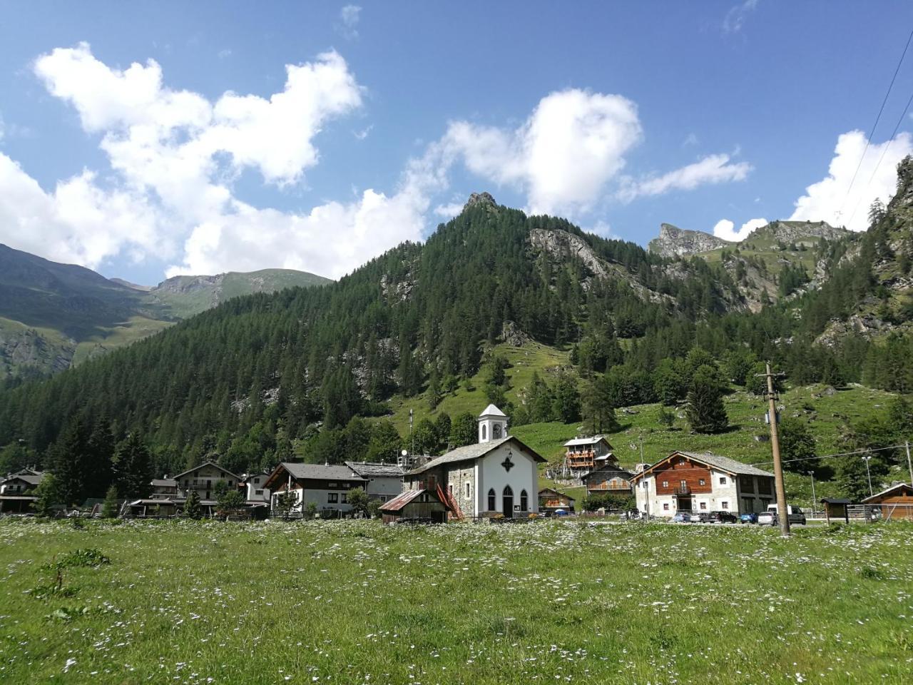 Chalet Rosa Dei Monti Piamprato Exteriér fotografie