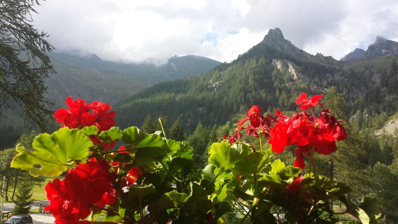 Chalet Rosa Dei Monti Piamprato Exteriér fotografie