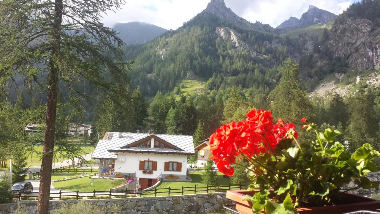 Chalet Rosa Dei Monti Piamprato Exteriér fotografie