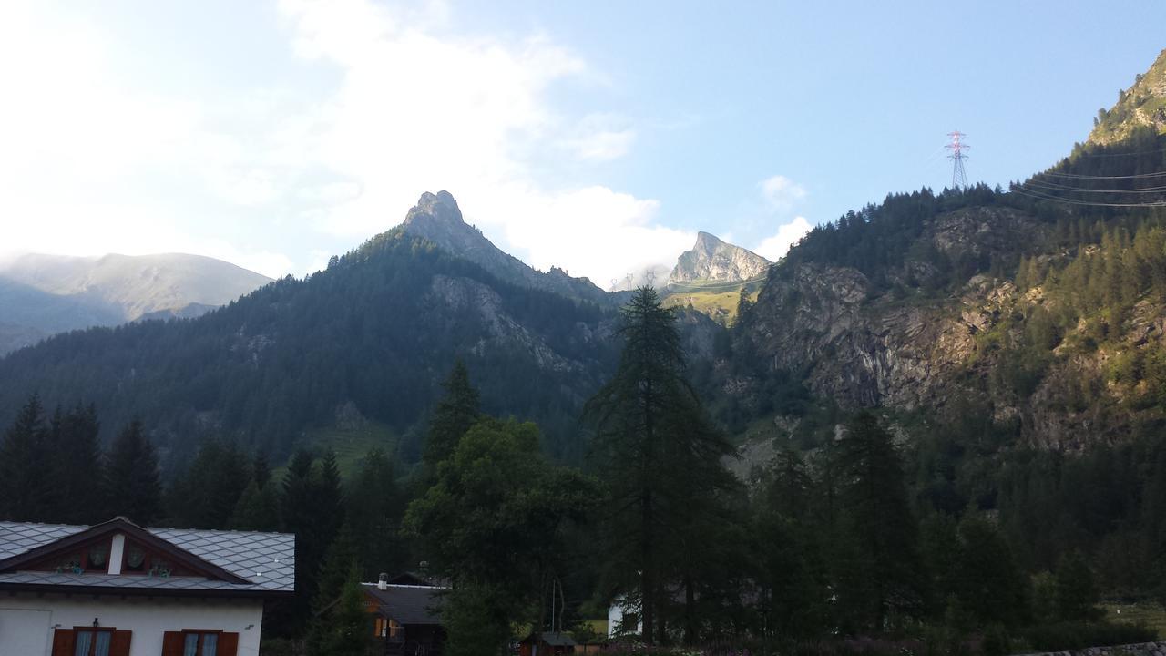 Chalet Rosa Dei Monti Piamprato Exteriér fotografie