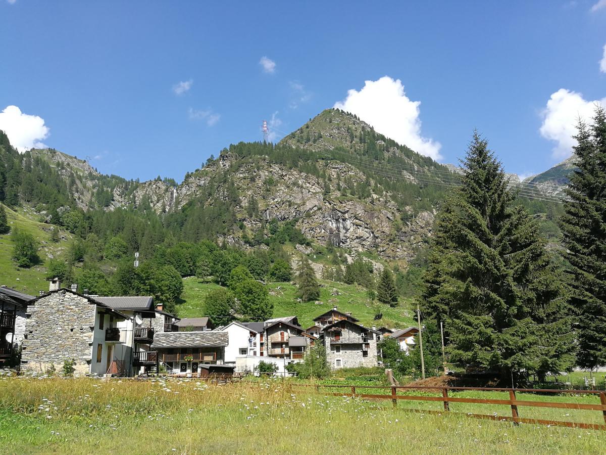 Chalet Rosa Dei Monti Piamprato Exteriér fotografie