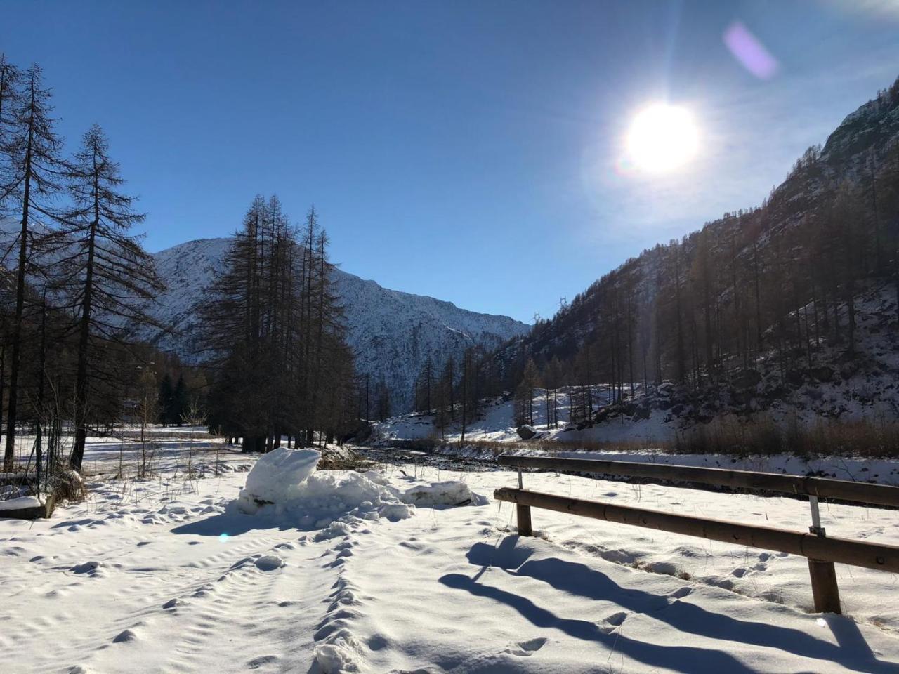 Chalet Rosa Dei Monti Piamprato Exteriér fotografie