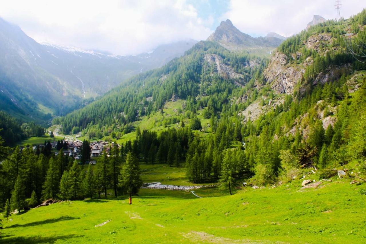 Chalet Rosa Dei Monti Piamprato Exteriér fotografie