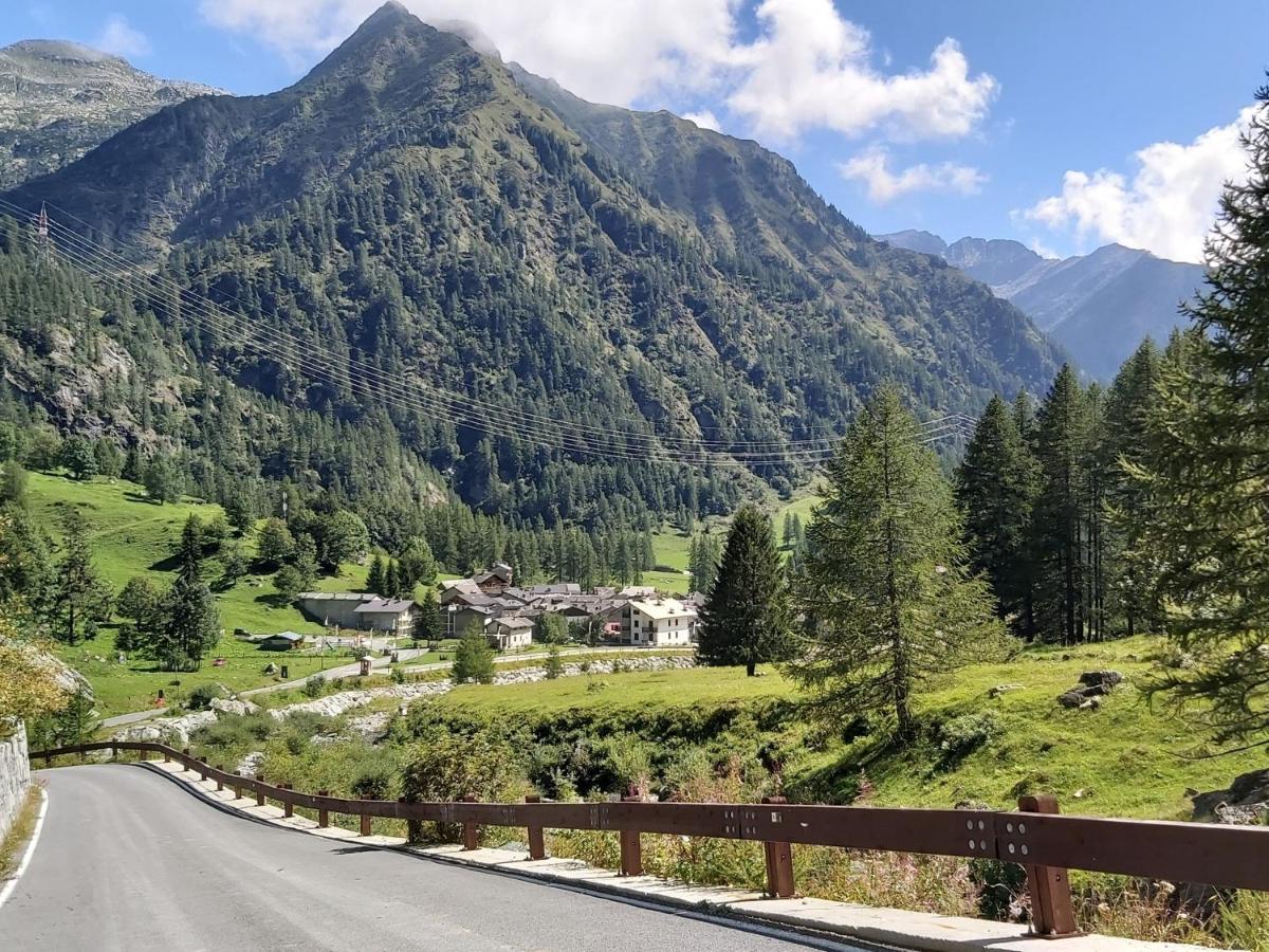 Chalet Rosa Dei Monti Piamprato Exteriér fotografie